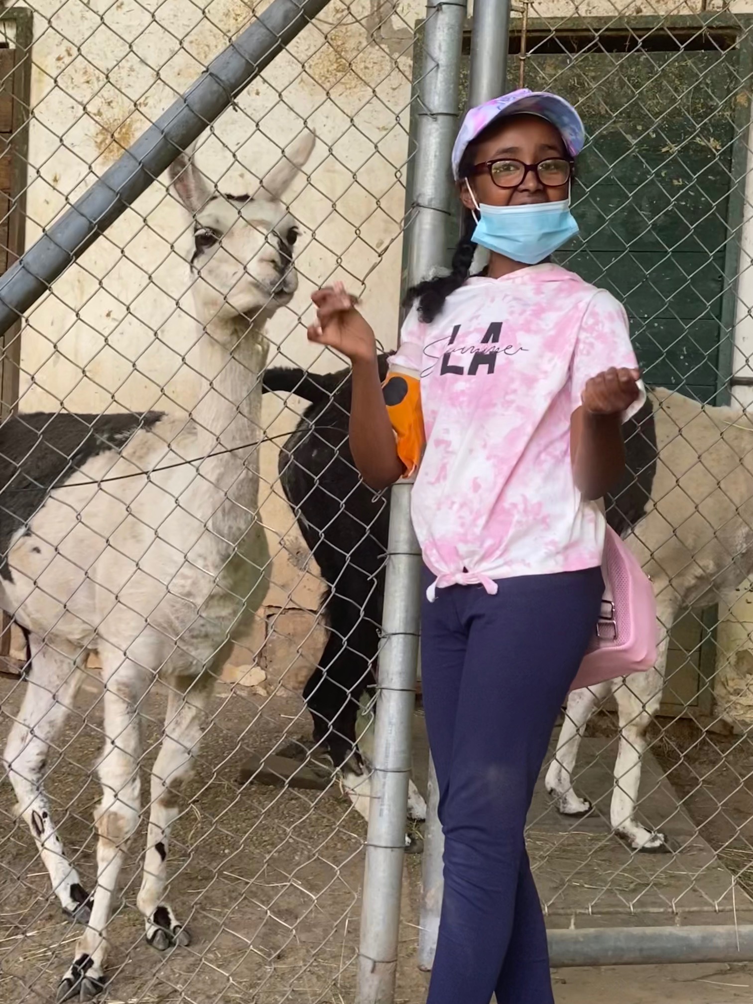 Sch%C3%BClerin%20mit%20einem%20Lama Sch%C3%BClerin%20mit%20einem%20Lama